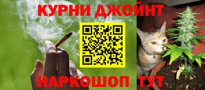гашик Бердск