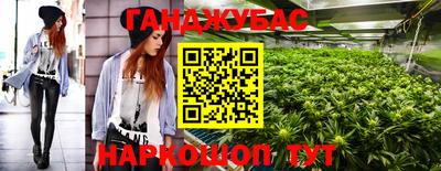 гашик Бердск