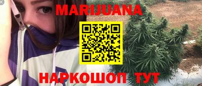 гашик Бердск