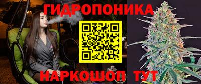 гашик Бердск